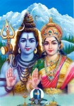 shivashakti-puja2 shivashakti-puja2