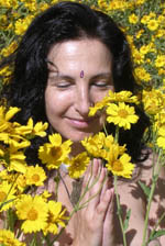 carolenafleishman